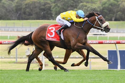 angus armanasco stakes